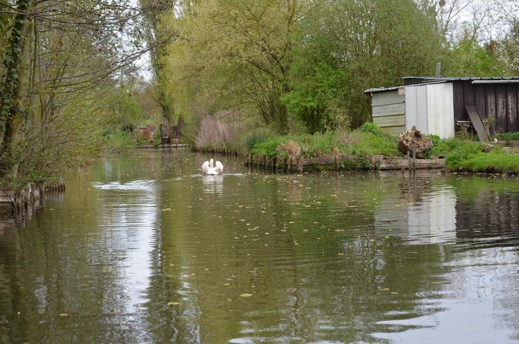 Aux Cygnes D'Opale Hotel Blangy-sur-Bresle Bagian luar foto